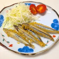 キビナゴの天ぷら（シニア食）