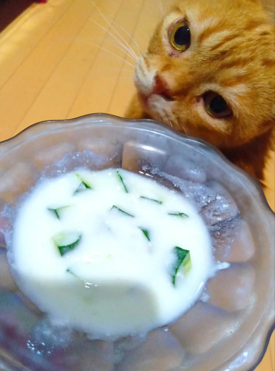 カレーの付け合わせキュウリのヨーグルト漬け🥒|さくらんぼさん