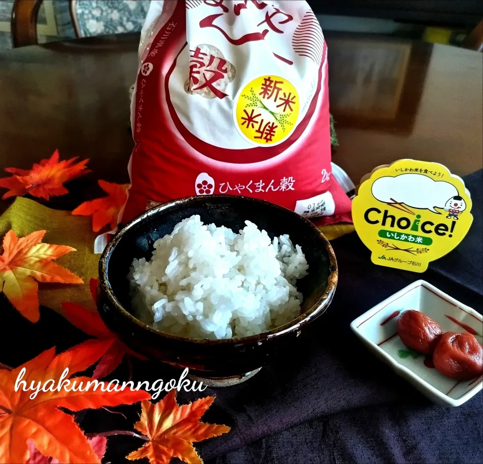 ひゃくまん穀で朝ご飯🍚|ぶりさんさん