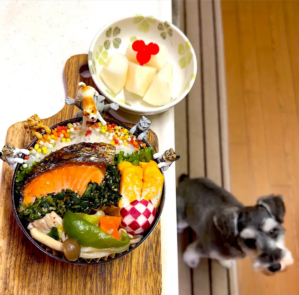 シャケ弁当|cafe3733さん