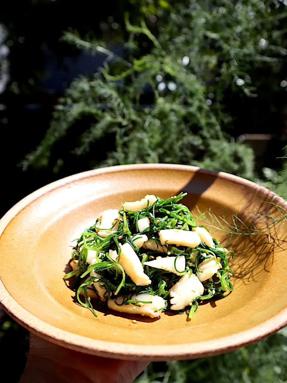 おかひじき×イカ|@chieko_tanabe_さん