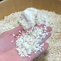 米麹|Satomi Yamamotoさん