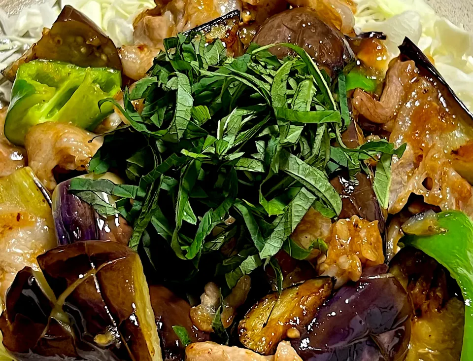 豚バラ茄子生姜焼き|須佐浩幸さん