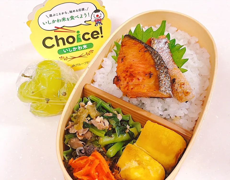 10/8 いつもの弁当|ペイたさん