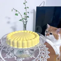 ババロア|チャッピーさん