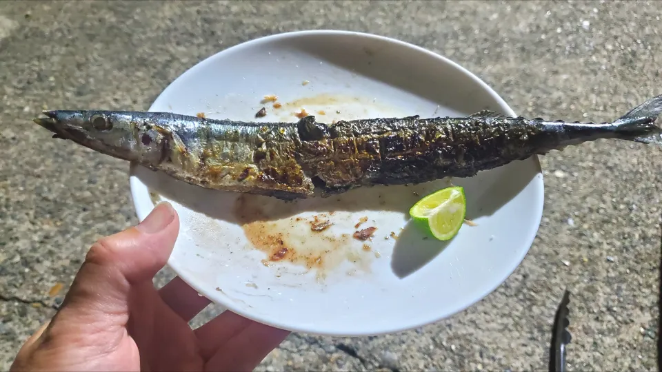七輪にて炭火焼き祭り🐟|masaki .fさん