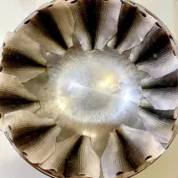 小肌の酢締めサークル🐟|yukki-----さん