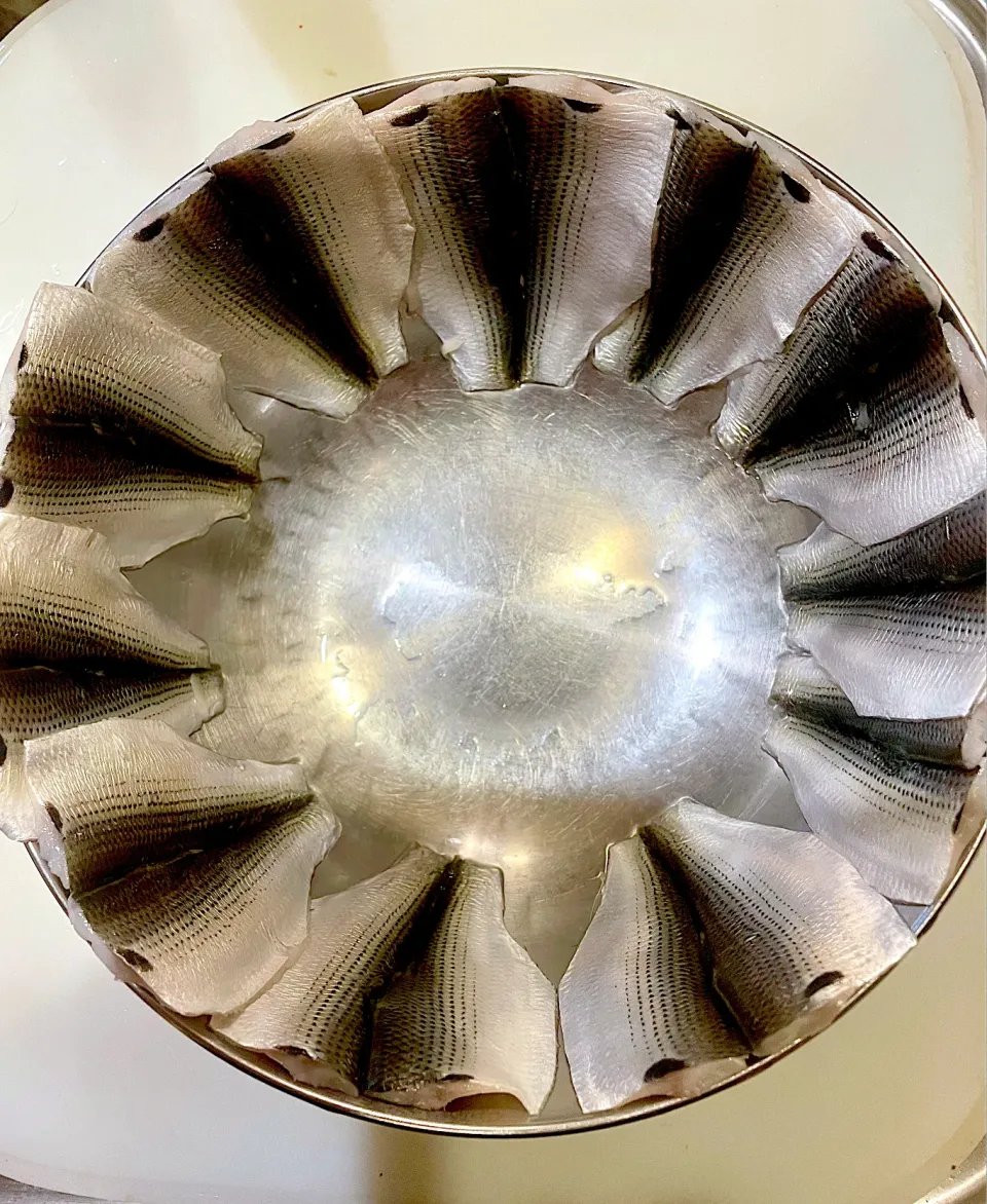 小肌の酢締めサークル🐟|yukki-----さん