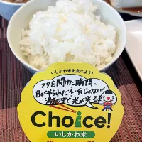 衝撃の一膳🍚✨|のりりんさん