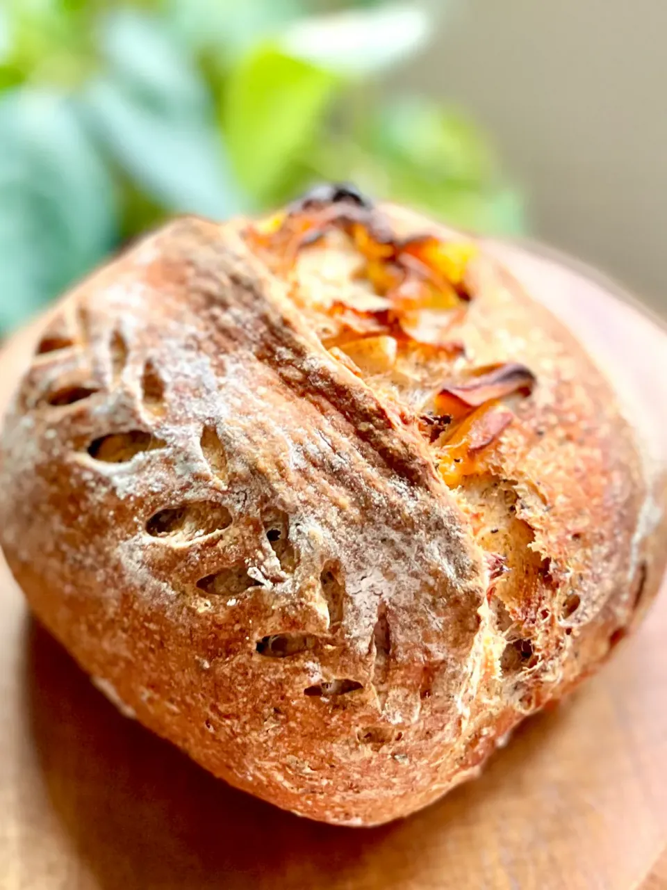 マンゴーとアールグレイのカンパーニュ|アッコ✨さん