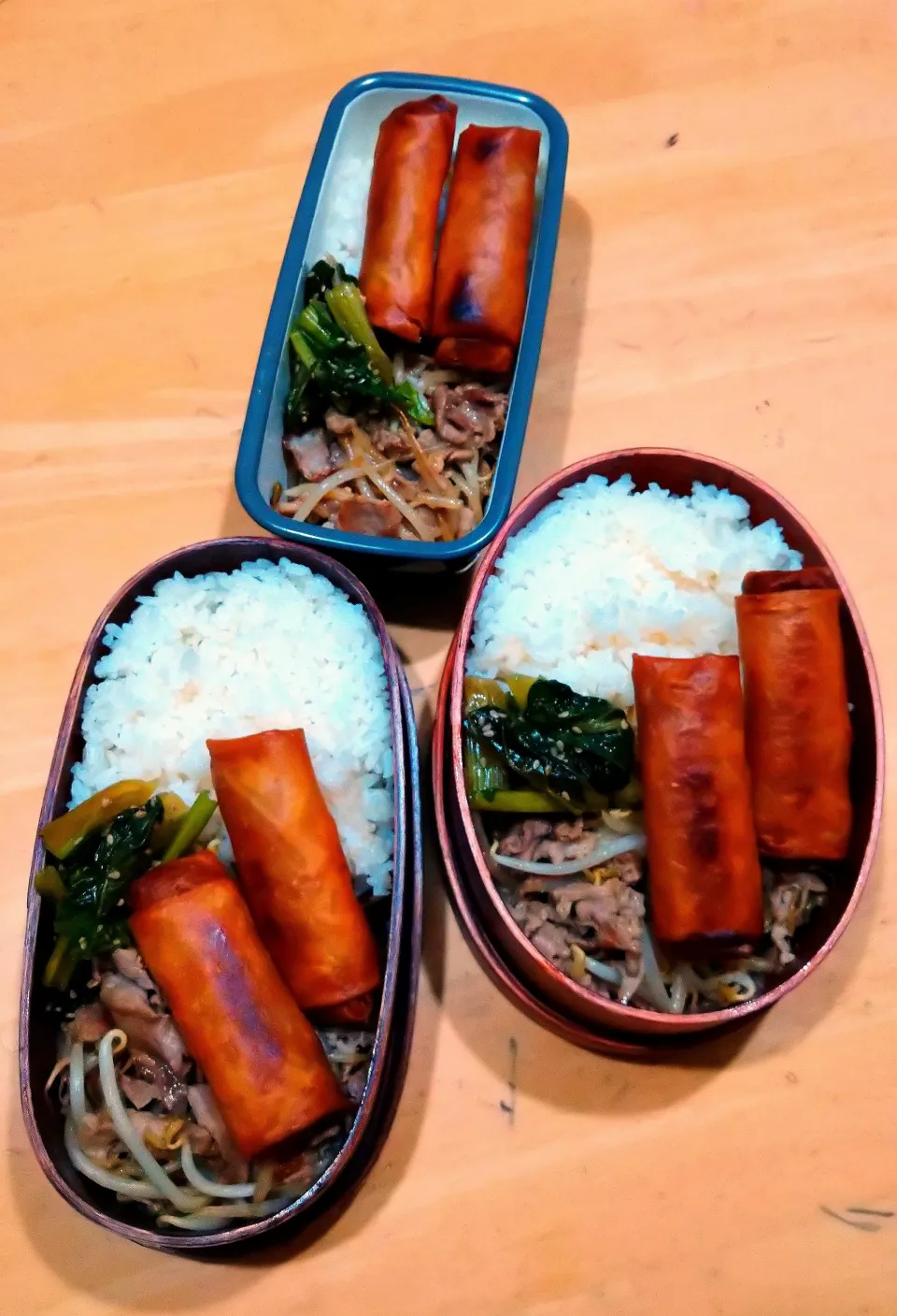 豚肉の野菜炒め&春巻き弁当|NOZUさん
