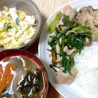 味付きお肉を買ってきて炒めたやつ|ねこのあいさん