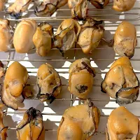 |ばん はやとさん