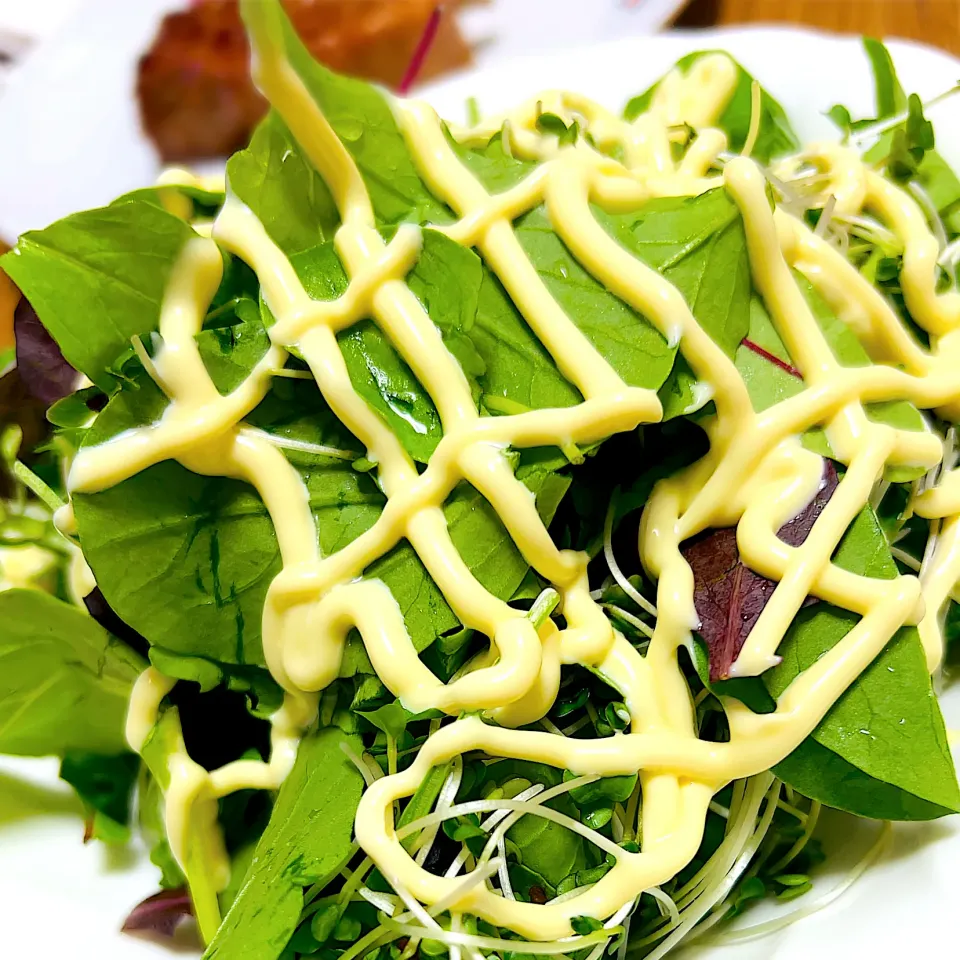 ”ベビーリーフ・サラダ”＠ 自宅飯|平大さん