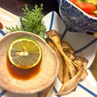 松茸君|Mikaだよさん