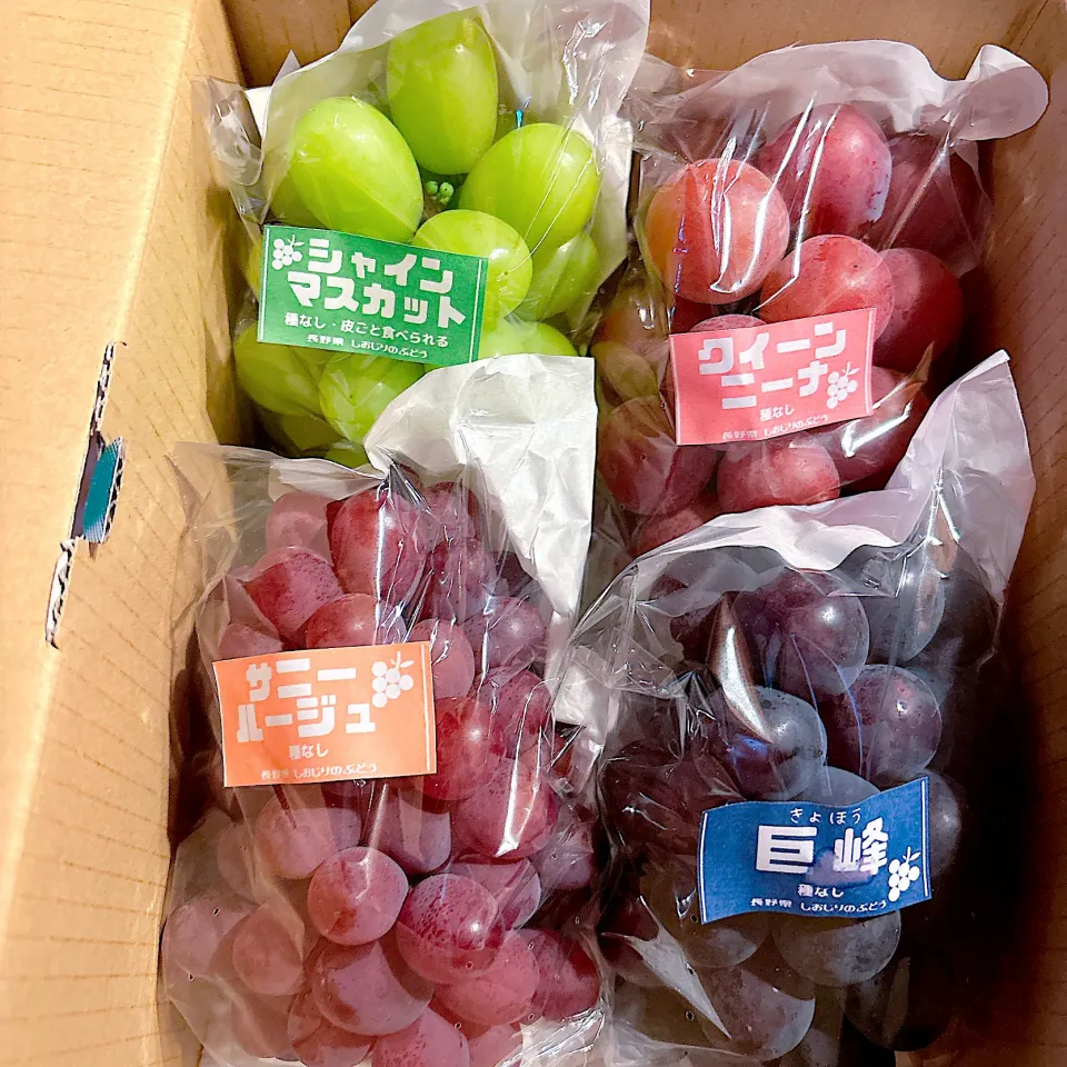 県内産 ぶどう|meg*ˊᵕˋ*megさん