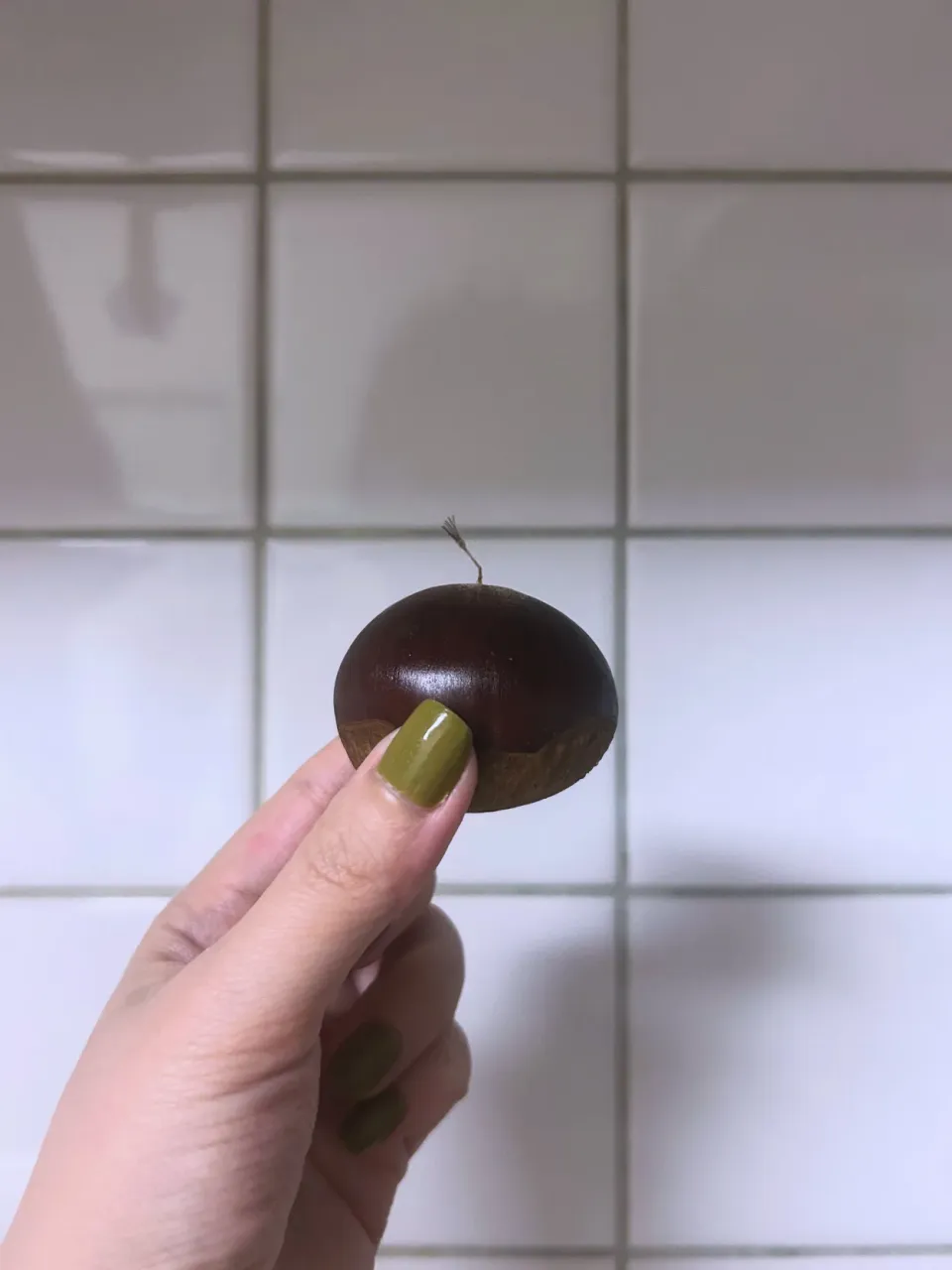 利平栗🌰|azuuuzaさん