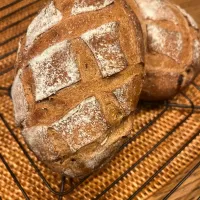 自家製栗の渋皮煮　カンパーニュ|おしみさん