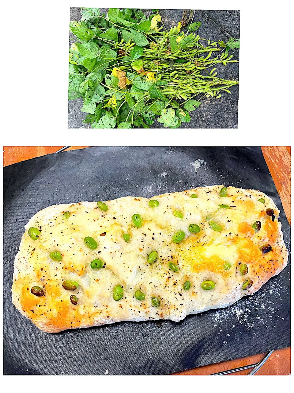 枝豆フォカッチャ|パンプキンさん