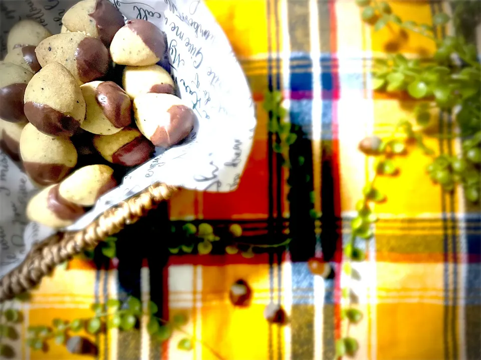 どんぐりクッキー|U・x・Uchokoさん