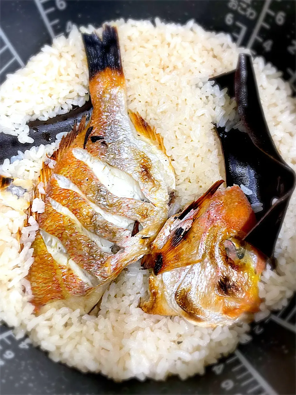 手作り　鯛めし|藤田 まり子さん