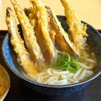 鶴や本家のごぼう天うどん|いりごまさん