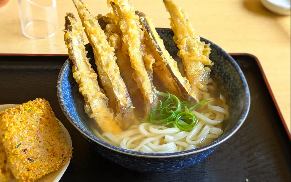 鶴や本家のごぼう天うどん|いりごまさん