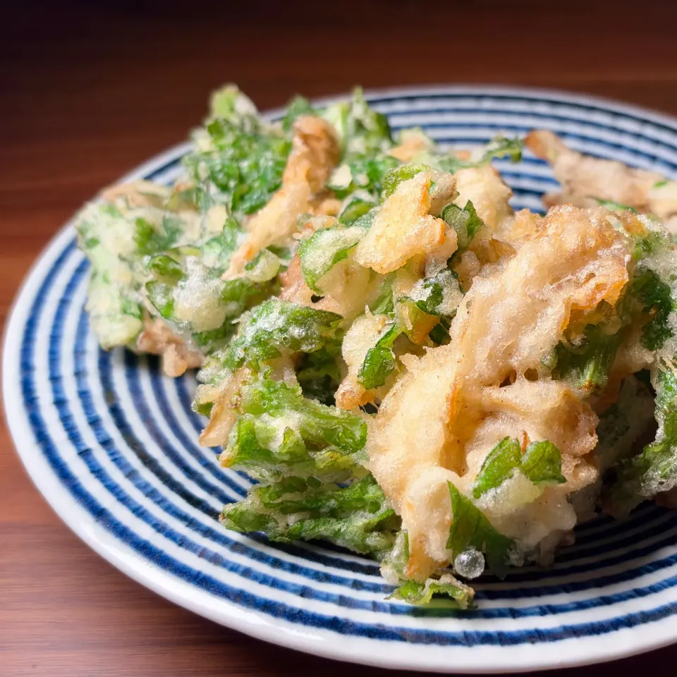 💫レシピ💫舞茸と春菊のかき揚げ|biskesさん