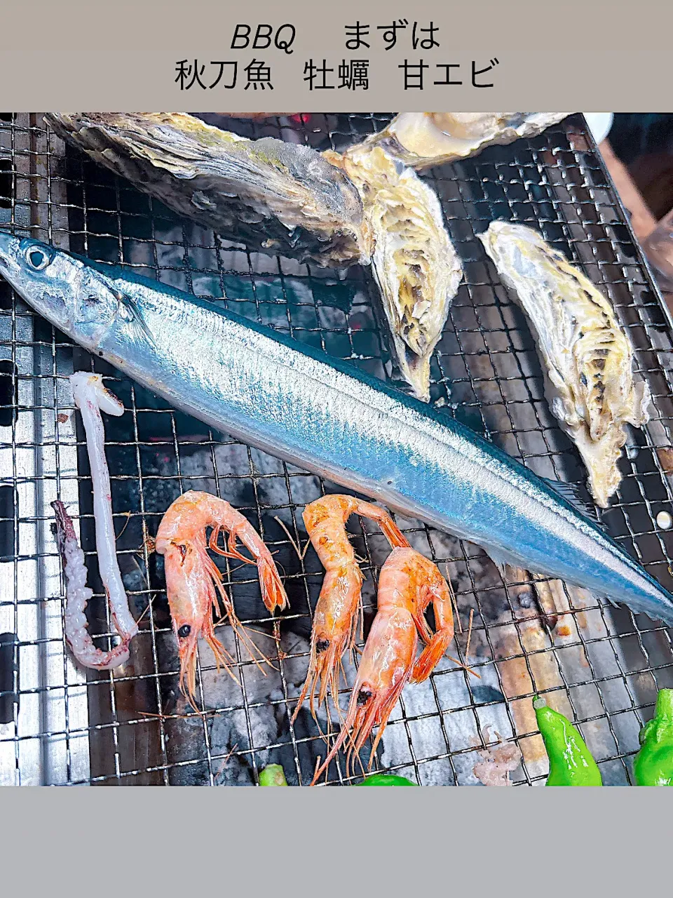 BBQ|meg*ˊᵕˋ*megさん