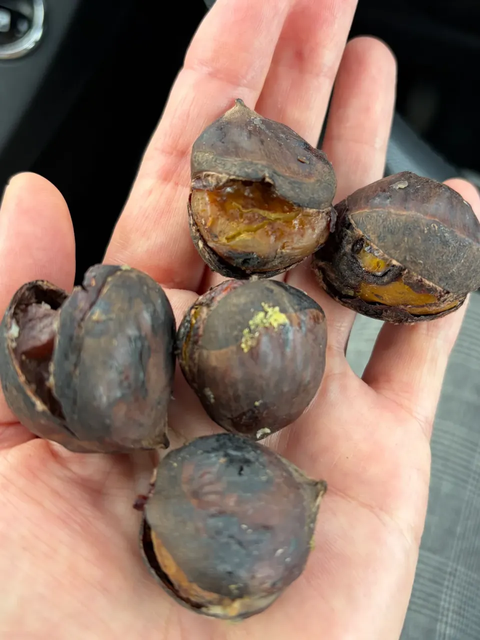 焼き栗|お家でbar!さん