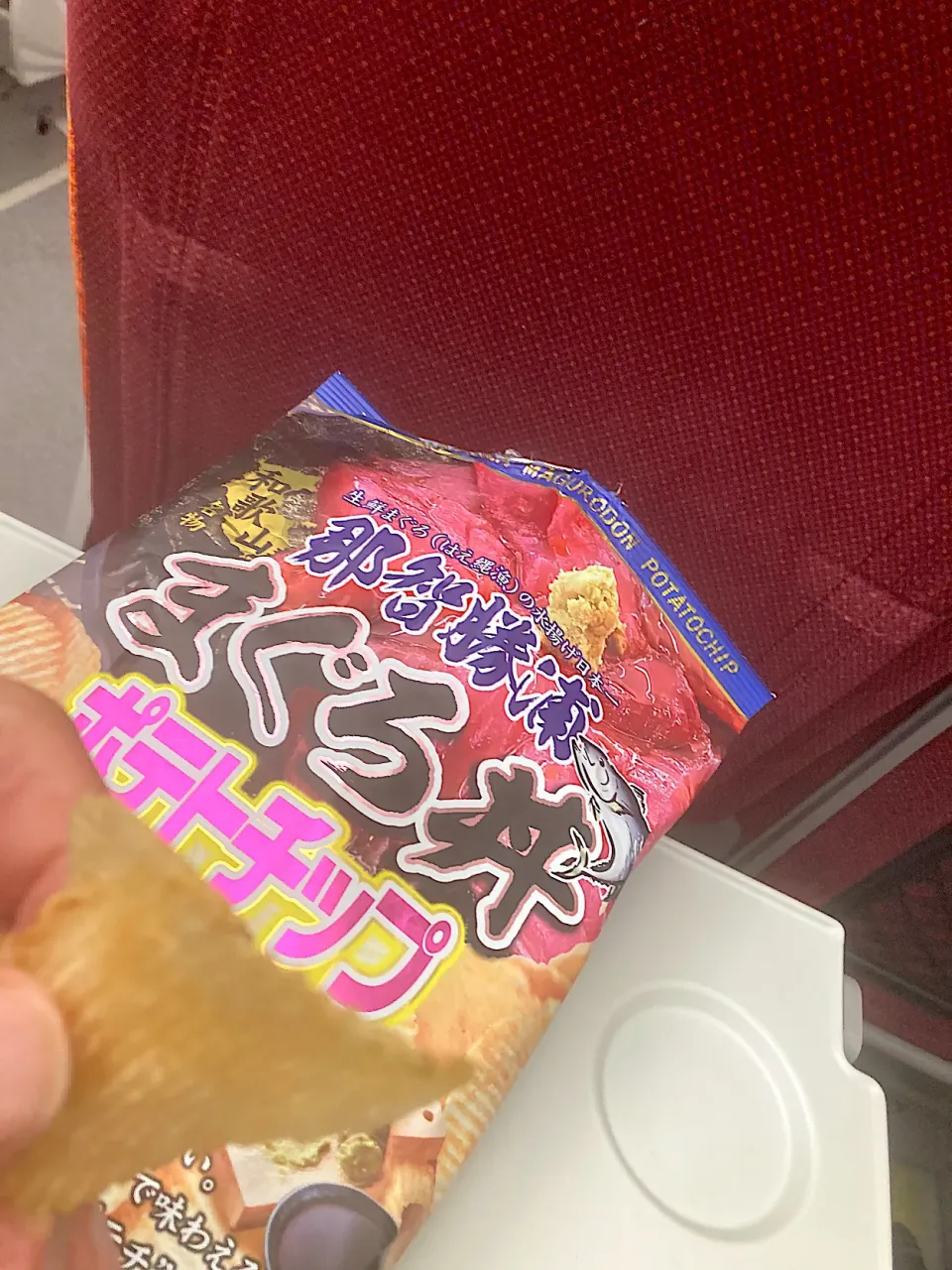 帰りの南紀8号の車中で、紀伊勝浦駅前のお土産屋さんで買った「まぐろ丼ポテトチップ」をいただきます（実況中継開始）|なびさん