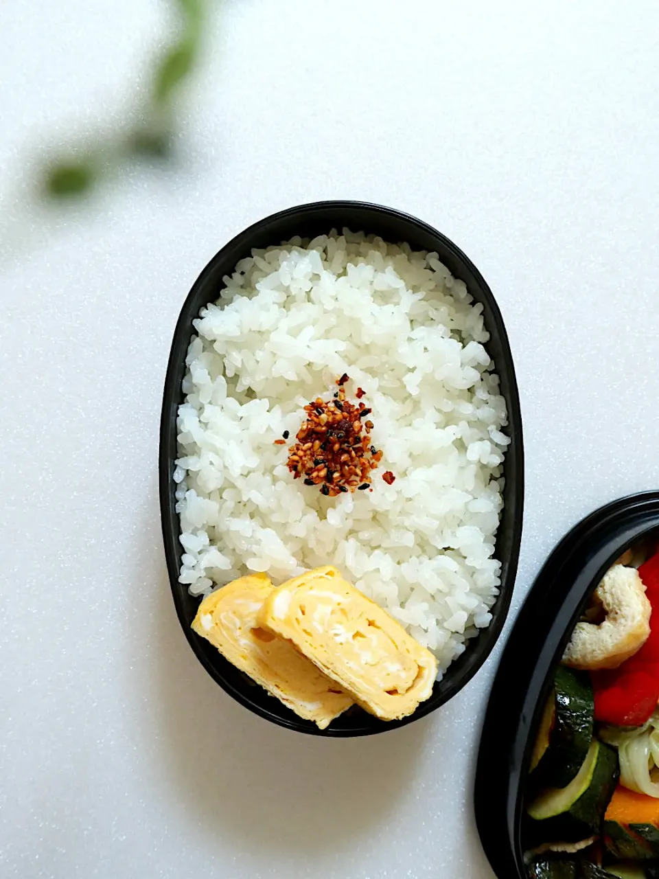 お弁当(ごはん)|@chieko_tanabe_さん