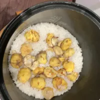 栗ご飯|かっちさん
