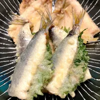 鰯天| おだしさん