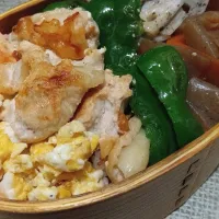 わっぱお弁当| マイさん