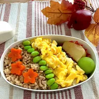 三色弁当🍱|花🍀さん