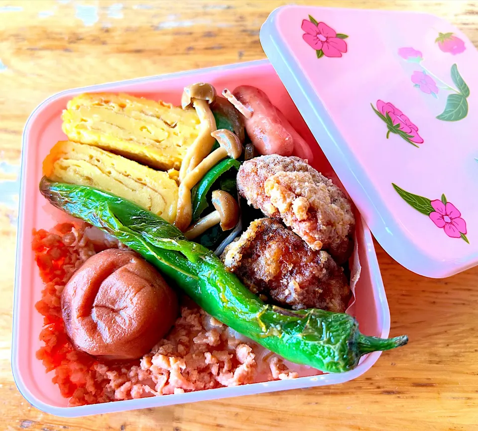 今日のお弁当|Daikiさん