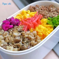 カラフル6色弁当‼️🟫🟨🟫✖️🟪🟥🟩