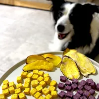 かぼちゃと紫芋のクッキー🎃🍠　（愛犬用）