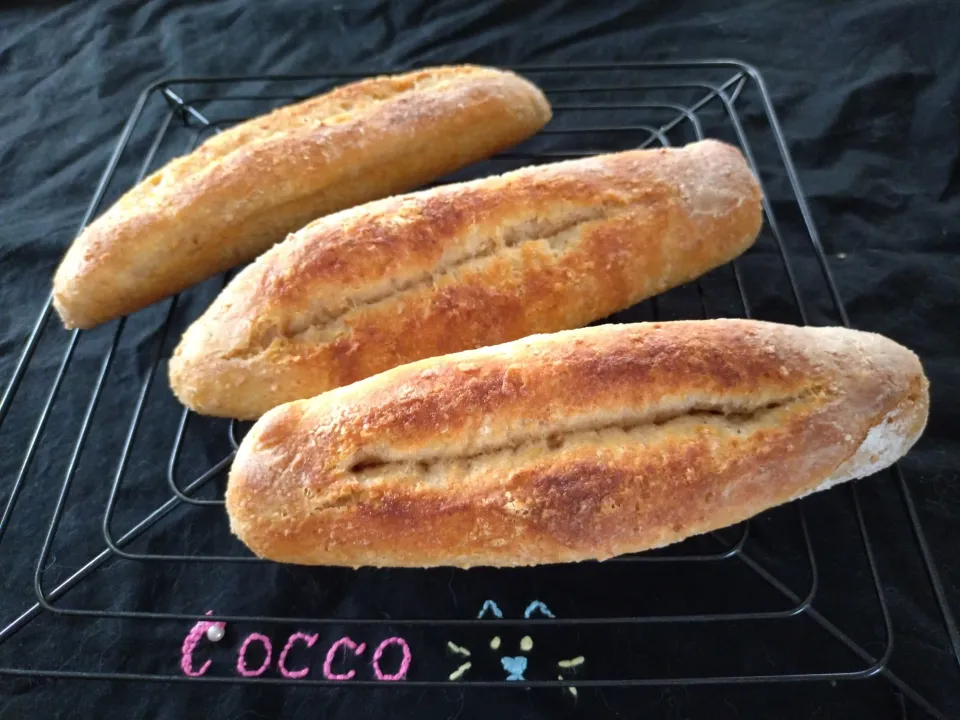 朝日が似合うシリーズ・全粒粉とピーナッツ粉入りのバターフィセル✨|cocco+さん