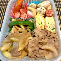 今日のお弁当|🌸ぴくしー🌸さん
