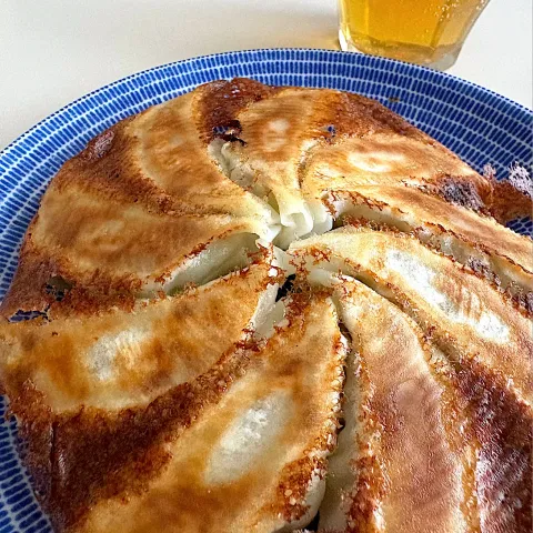 「根しょうが」を使ってみたSnapdishの料理・レシピ写真:焼き餃子