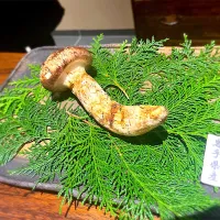 まつたけ|yirtmdさん