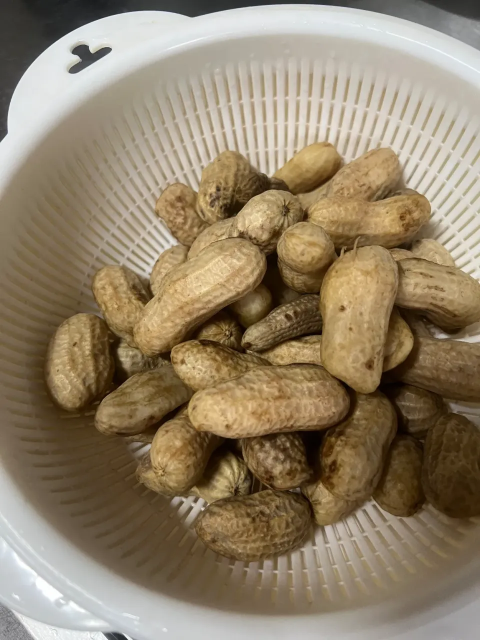 デカい🥜おおまさり|TOMOさん