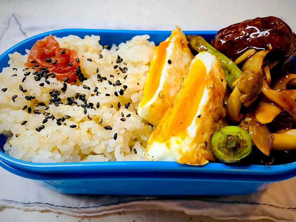 2025/10/17(金)弁当|ご飯はん♪さん