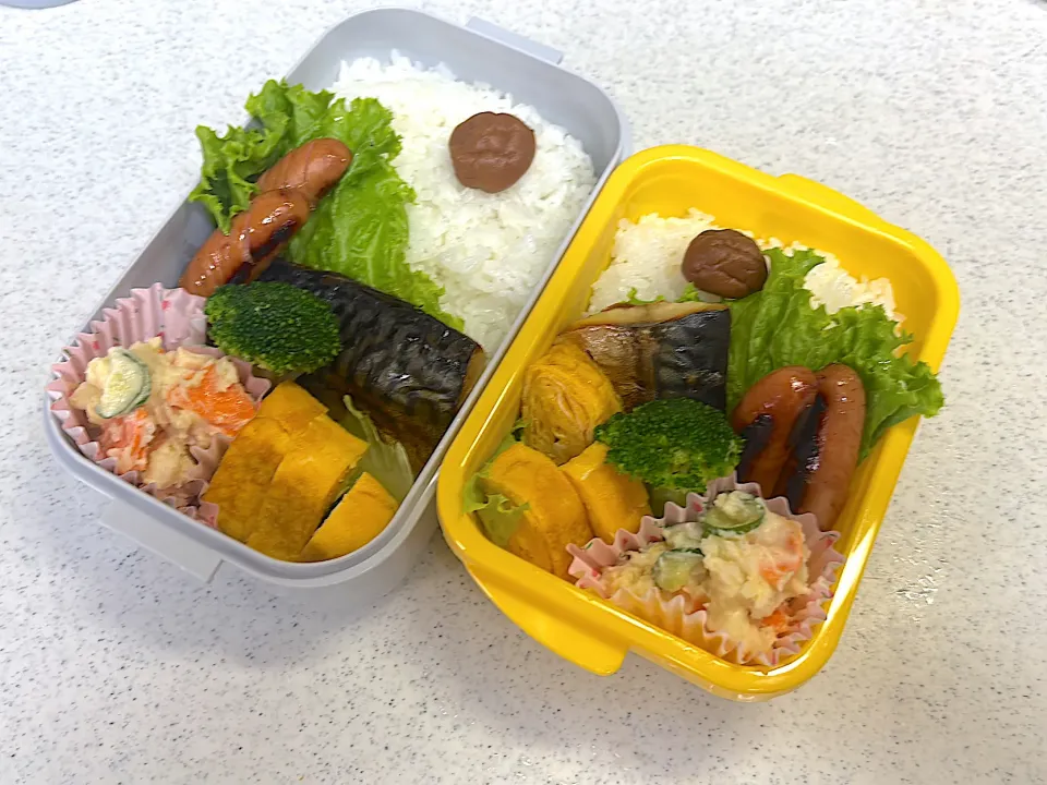 2025年10月17日お弁当🍱|もぐぷーさん