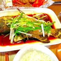 Steamed Fish in Canton style|michelleさん