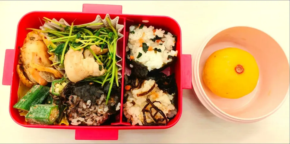 10月16日|maimaipapaさん