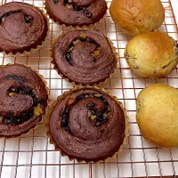 抹茶大納言パン　と　ココアのパン|ちゃこさん