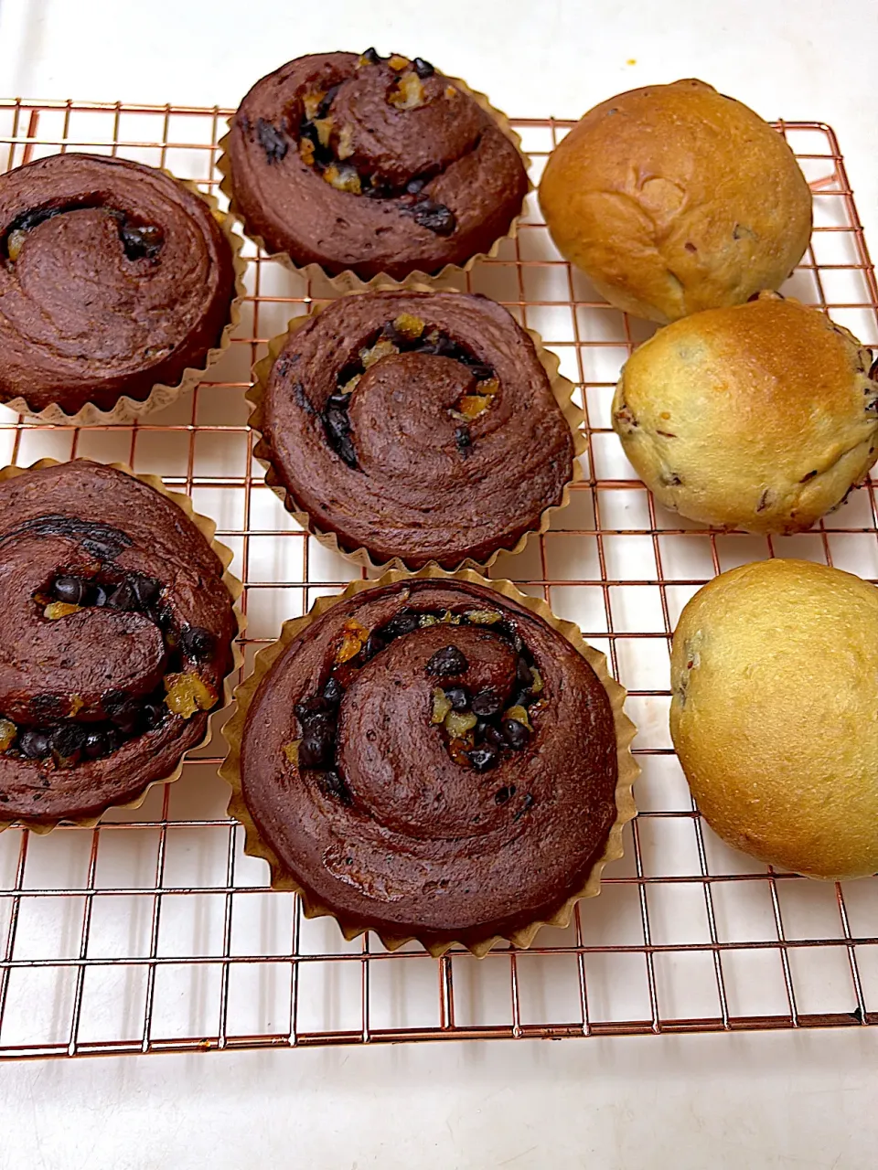 抹茶大納言パン　と　ココアのパン|ちゃこさん